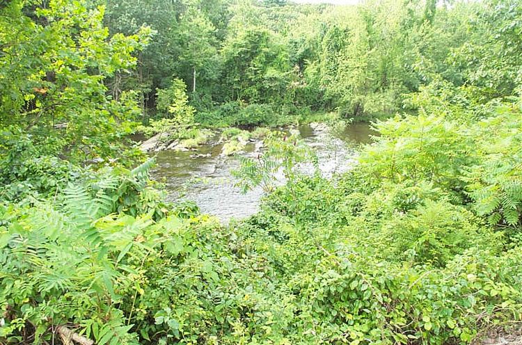 gal/Agawam Canal and the Southworth Company/DCP_3197.jpg